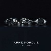 Logo Arne Nordlie